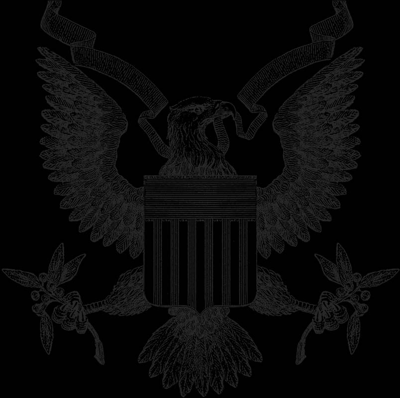 American eagle image